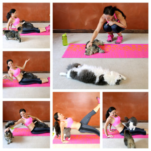 cat workout benderfitness.com