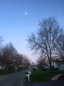 Beautiful Evening Walk. 