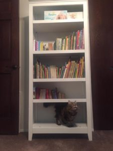 baby book case