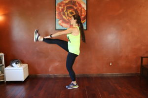 Lunge Kick: Part 2