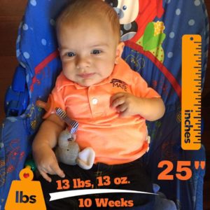 10-Weeks Old. 98th Percentile for Height, and 75th Percentile for Weight. 
