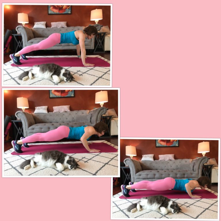 Total Body HIIT Best No Equipment Workout Bender Fitness