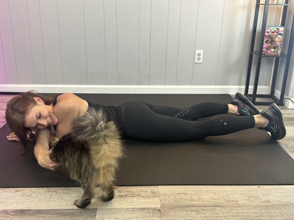 cat interrupting a workout